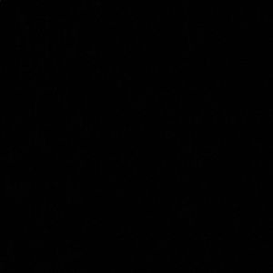 Meet your Posher, Noah